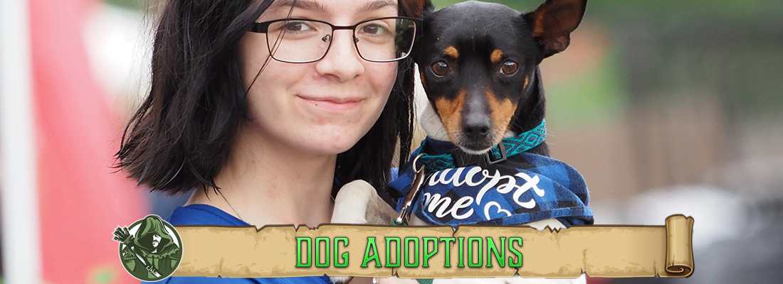 dog adoptions